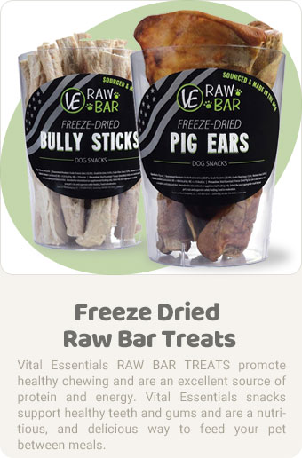 Vital Essential Raw Bars Treats