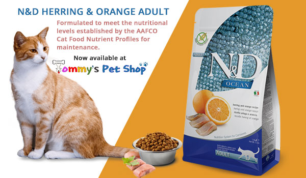 N&D-Herring&Orange-Adult-Ad-Banner