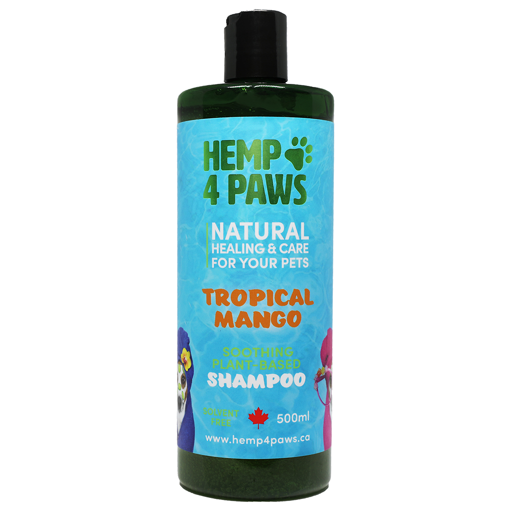 Natural Tropical Mango Shampoo 500ML Natural-Tropical-Mango-Shampoo-500ML