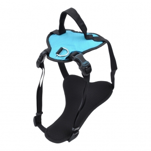 Inspire Neoprene Harness Aqua Small
