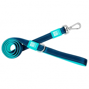 Matrix Solid Blue Leash 4x1